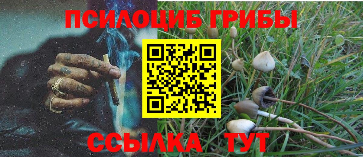 купить  цена  Галлюциногенные грибы мухоморы  Вход с VPN  Бердск 