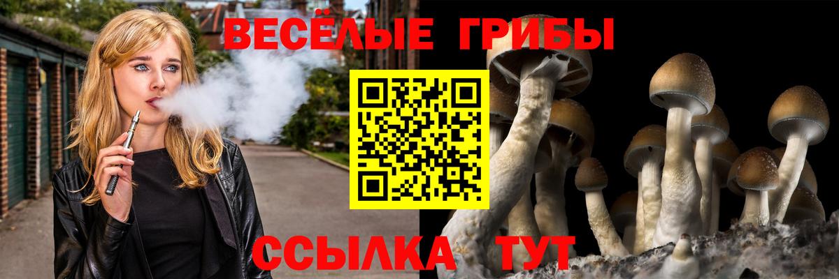 Псилоцибиновые грибы Magic Shrooms Бердск